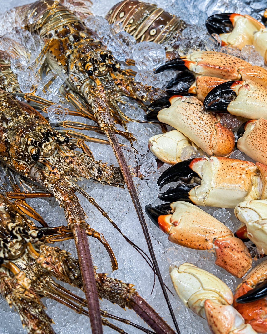 Fresh Seafood